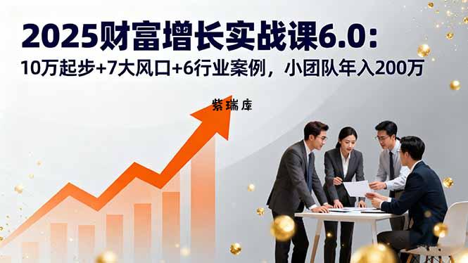 2025财富增长实战课6.0：10万起步+7大风口+6行业案例，小团队年入200万-紫瑞库