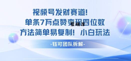 视频号发财赛道单条7W点赞变现四位数方法简单易复制小白玩法-紫瑞库