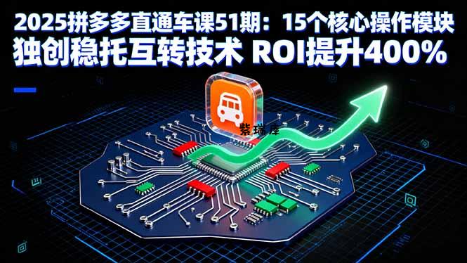 2025拼多多直通车课51期：15个核心操作模块 独创稳托互转技术 ROI提升400%-紫瑞库