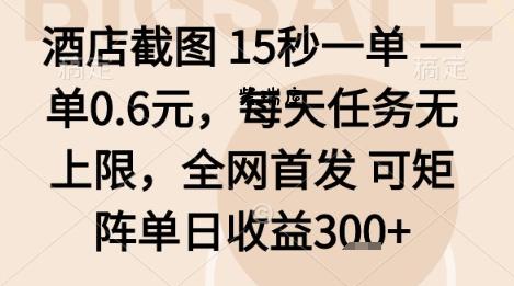 酒店截图项目，15秒一单，一单0.6米，每天任务无上限，全网首发可矩阵单日收益3张+【揭秘】-紫瑞库