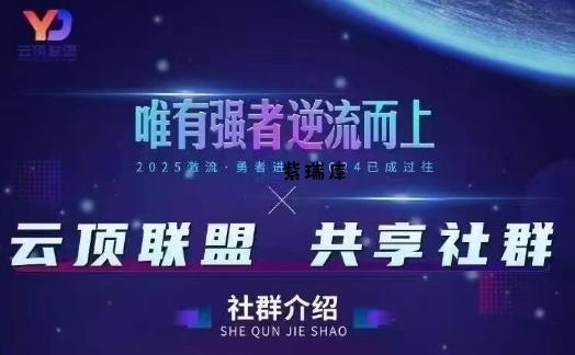 云顶联盟·无人直播实战(更新9月)，最新无人玩法和半无人玩法分享-紫瑞库