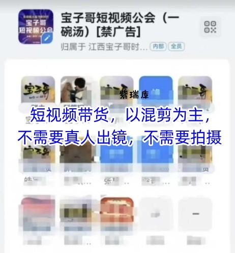 宝子哥头部团队短视频带货，以混剪为主，不需要真人出镜，不需要拍摄【更新9月】-紫瑞库