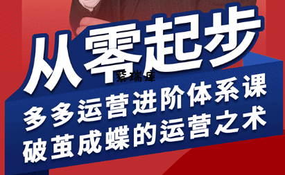 海神·拼多多运营进阶系统课(更新9月)-紫瑞库