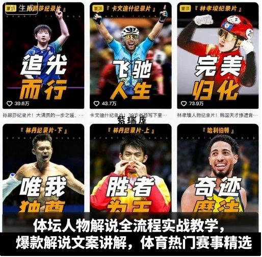 体坛人物解说全流程实战教学,爆款解说文案讲解,体育热门赛事精选-紫瑞库