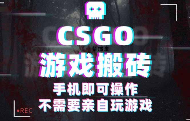 CSGO游戏挂机捡漏，单日扫货500+，年底小高峰上车可吃肉，手机即可操作...-紫瑞库