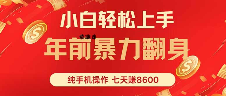 七天狂赚8600,小白纯手机操作,日入1000+-紫瑞库