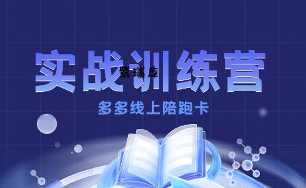 多多实战训练营，从0到1打造一个真正賺钱的店铺-紫瑞库