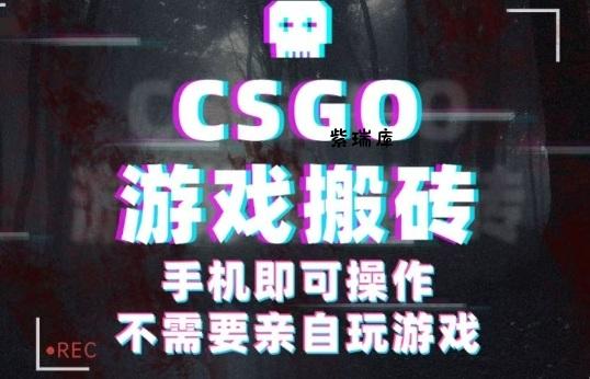 CSGO游戏挂G捡漏,单日扫货5张+,年底小高峰上车可吃肉,手机即可操作,兼职副业创业网创【揭秘】-紫瑞库