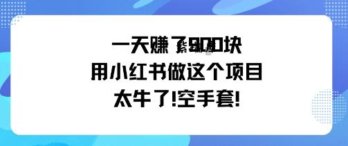 一天挣了9张用小红书做这个项目太牛了，空手套-紫瑞库