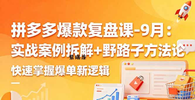 拼多多爆款复盘课-9月：实战案例拆解+野路子方法论，快速掌握爆单新逻辑-紫瑞库