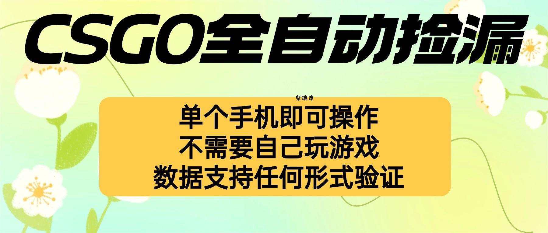 自动挂机捡漏，不用自己挂机不用玩游戏，一个手机即可操作。新手小白轻…-紫瑞库