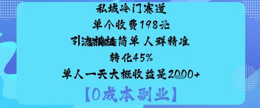 私域冷门赛道:单个收费198米引流模板简单人群精准转化45%单人一天大概收益是1k+-紫瑞库