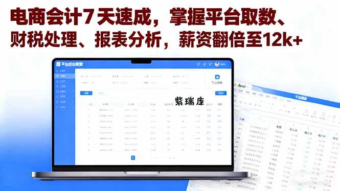 电商会计7天速成，掌握平台取数、财税处理、报表分析，薪资翻倍至12k+-紫瑞库