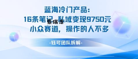 蓝海项目：16条笔记私域变现9750米小众赛道操作的人不多-紫瑞库