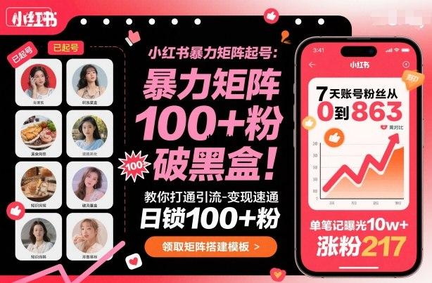小红书暴力矩阵起号，教你打通引流-变现速通，日锁100+粉，破流量黑盒-紫瑞库