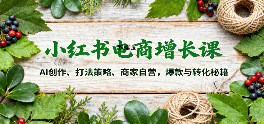 小红书电商增长课：AI创作、打法策略、商家自营，爆款与转化秘籍-紫瑞库