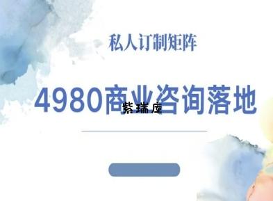 4980商业咨询师落地课程-ip运营高客单教程-紫瑞库