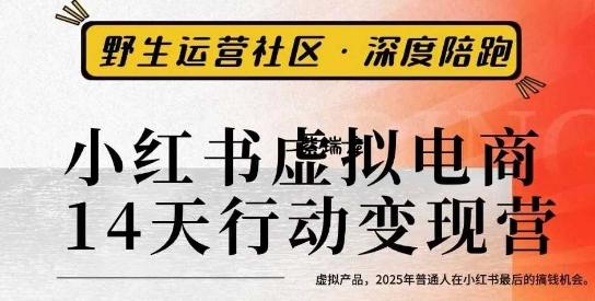 小红书虚拟电商14天变现训练营3.0,虚拟产品,2025年普通人在小红书最后的搞钱机会