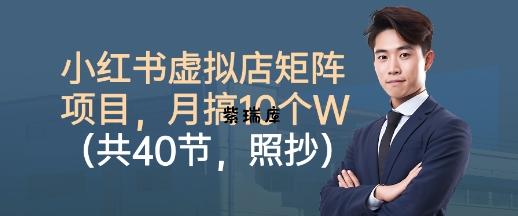 小红书虚拟店矩阵项目，照抄照做，月搞1W+(共40节)-紫瑞库