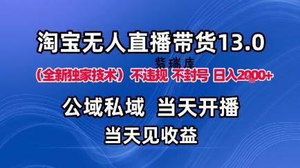淘宝无人直播13.0,公域私域技术,不封号,不违规布局下半年旺季赛道,日入1K+(独家技术)【揭秘】-紫瑞库