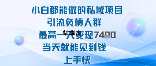 2025年小白都能做的私域项目引流负债人群最高一天变现1k+高变现难度低当天就能见到钱上手快-紫瑞库