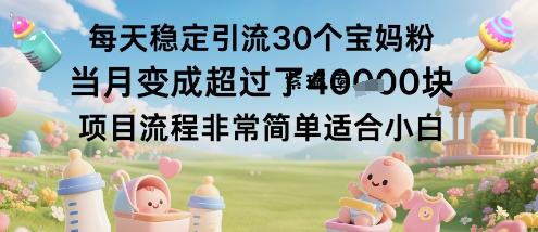 每天稳定引流30个宝妈粉当月变成超过了1W+项目流程非常简单适合小白-紫瑞库