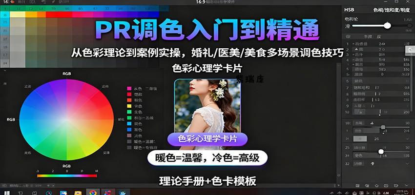 PR调色入门到精通：从色彩理论到案例实操，婚礼/医美/美食多场景调色技巧-紫瑞库