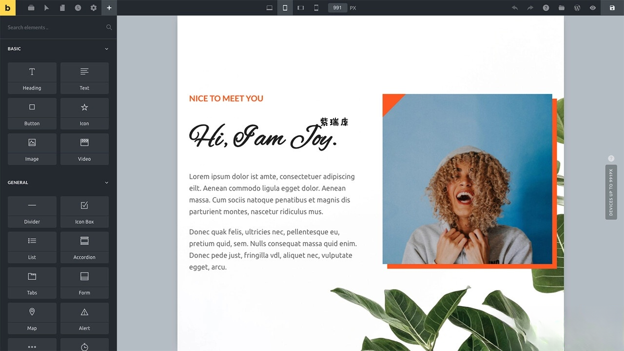 WordPress主题Bricks v1.9 破解版-紫瑞库