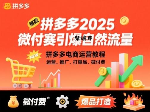 拼多多2025微付费引爆自然流量，拼多多电商运营教程，运营、推广、打爆品、微付费(更新)-紫瑞库