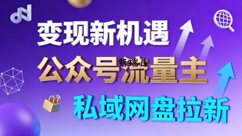 公众号流量主+私域网盘拉新,多方式变现,简单易上手,当天就有收益-紫瑞库